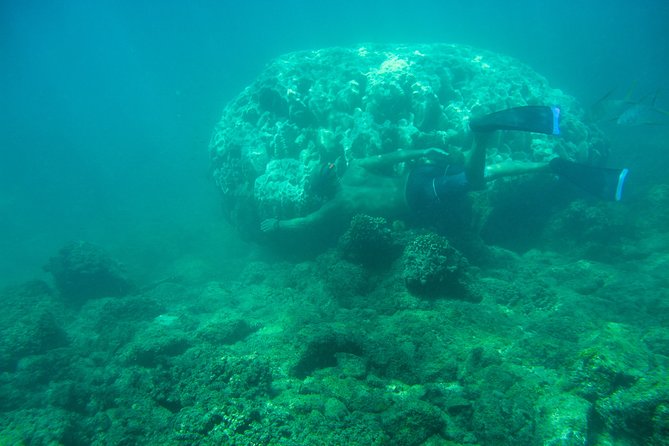 Private Los Cabos snorkeling tour to Chileno bay and Santa Maria cove - The value of the private guide