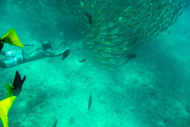 Private Los Cabos snorkeling tour to Chileno bay and Santa Maria cove - What to bring and what to expect on the beach