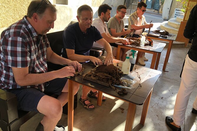 Private Puro Cigar Creation Workshop in Los Cabos - What is included, and what is not