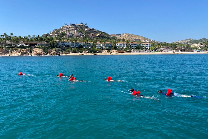 Private Snorkeling In San Jose Del Cabo Lunch, Drinks, Snack - Who will get the most from this outing