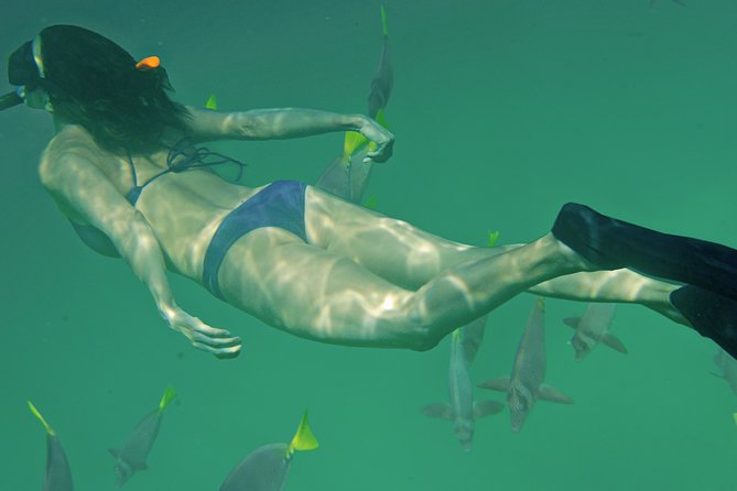 Private Snorkeling Tour in Cabo San Lucas - Guides who make a difference in the water