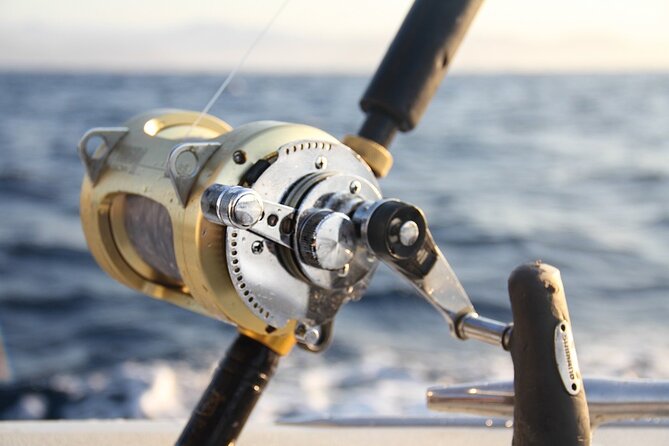 Private Sport Fishing Charter Experience in Cabo San Lucas (5 Hours) - Breakfast, buffet lunch, and the open bar