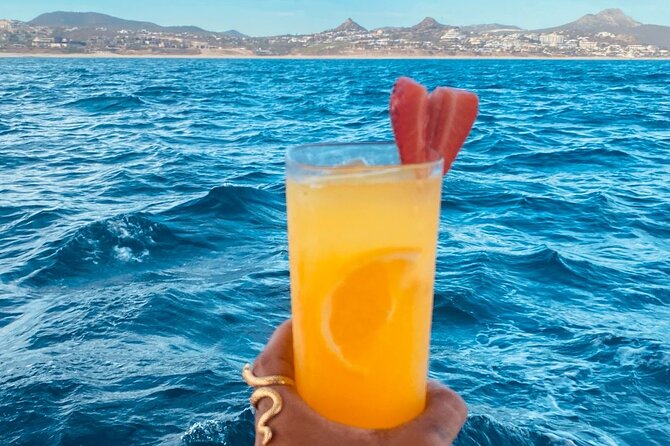 Private Sunset Cruise in San Jose del Cabo Appetizers,open bar - Who will enjoy this San Jose del Cabo cruise?