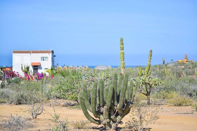 Private Todos Santos Jeep - Key points to know before booking