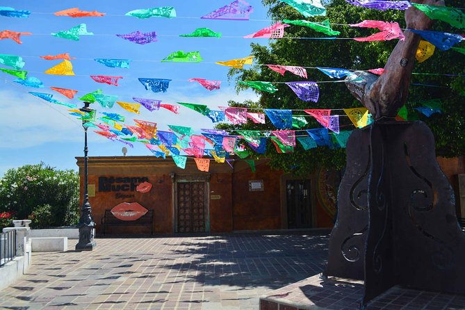 Private Todos Santos Jeep - Two hours for Todos Santos town and lunch