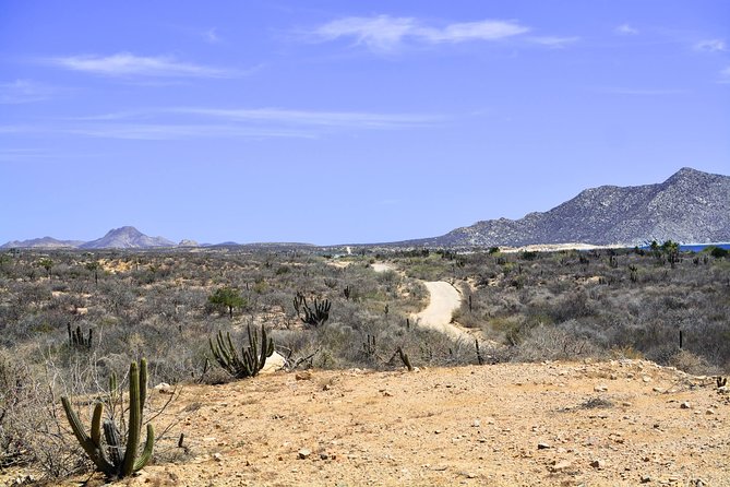 Private Tour Baja Jeep 4x4 Adventure at Los Cabos - Self-driving gives you control, but the guide still matters