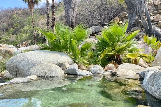 Private Tour to Hot Springs and Waterfall in Santiago - From San José del Cabo to rural Santiago