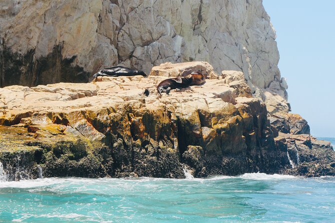 Private Tour to the Arch of Cabo San Lucas by Glass Bottom Boat - El Arco: the main ten-minute photo stop