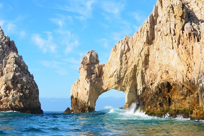 PRIVATE Whale Watch Tour | Cabo San Lucas | Biologist | FREE Pics - A private whale watch with real time for questions