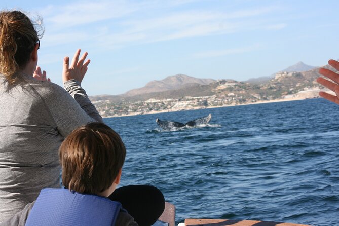 Private Whale Watching in San José del Cabo - The main strengths, and the honest drawbacks