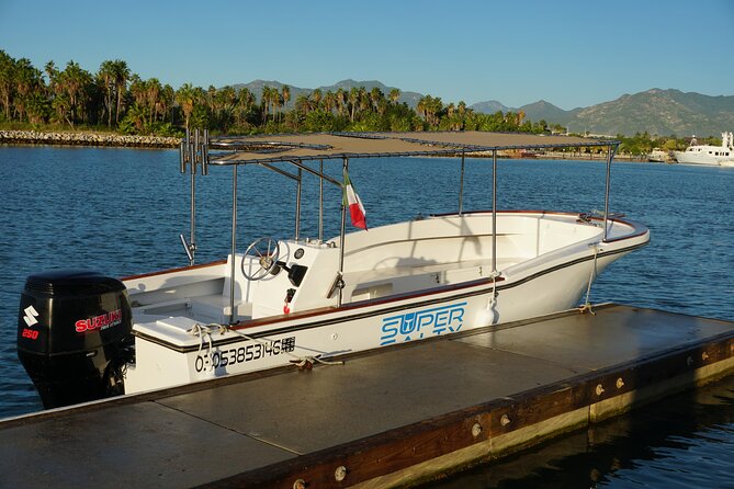 Private Whale Watching in San José del Cabo - San José del Cabo is the better base for a quieter outing