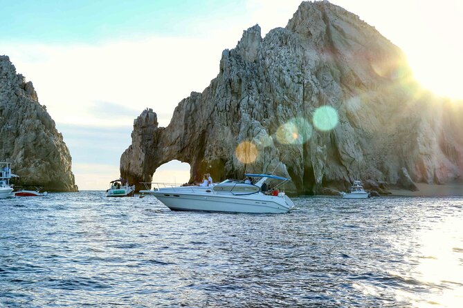Private Whale Watching on Luxury Yacht in Cabo San Lucas - Practical planning before you reserve