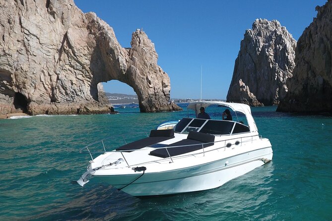 Private Whale Watching on Luxury Yacht in Cabo San Lucas - Turning toward the humpback whales