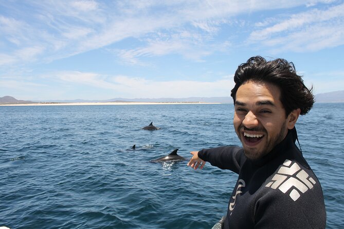Private Wild Dolphin Encounter Day Trip - Leaving Cabo at 6 a.m. for La Ventana