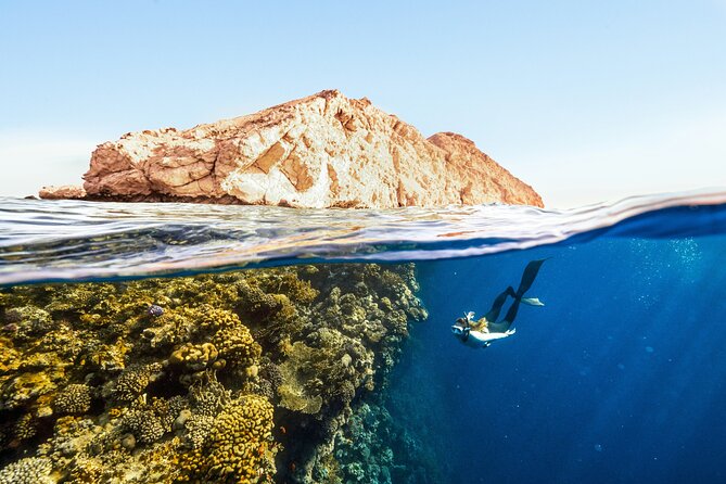 Private Wild Dolphin Encounter Day Trip - Who will enjoy this day most?