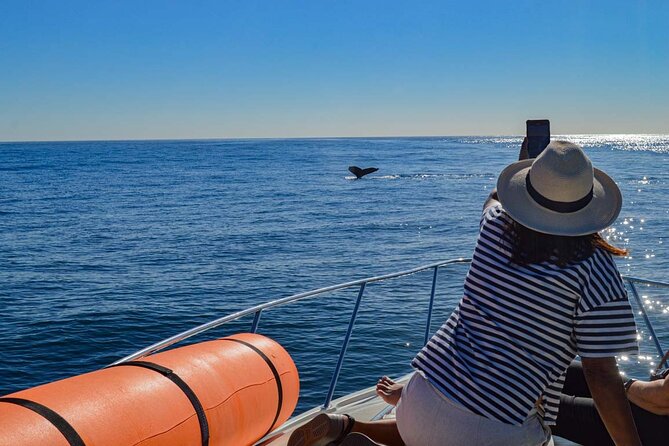 Private Yacht, Snorkeling or Sunset in Cabo San Lucas - The Arch of Los Cabos: Cabo’s essential photo stop