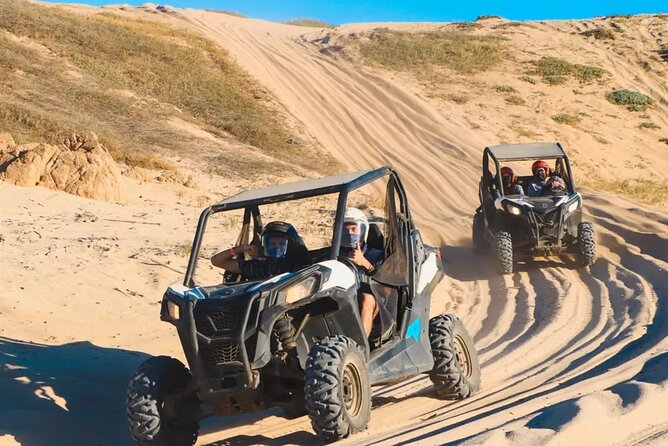 Race the Baja 1000 — Migriño Desert & Beach Off‑Road Adventure - The winter whale-watching chance