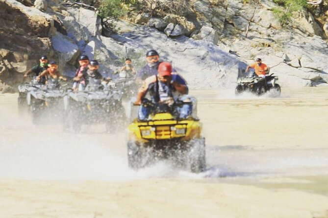 Ride through Bajas wild beauty—from desert trails to ocean views. - Key points to know before you book