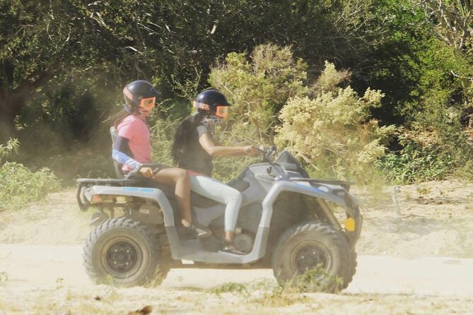 Ride through Bajas wild beauty—from desert trails to ocean views. - Riding through Baja’s desert and mountain paths