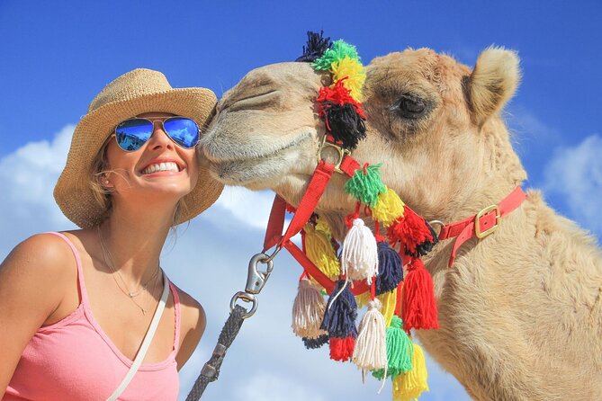 Safari with Camel Caravan to Explore Baja’s Nature, Culture and Cuisine - Key points to know before you book