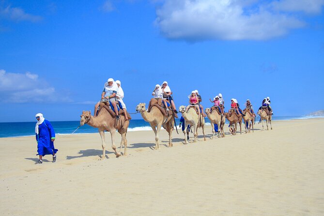 Safari with Camel Caravan to Explore Baja’s Nature, Culture and Cuisine - Tortillas, Mexican food, and a tequila tasting