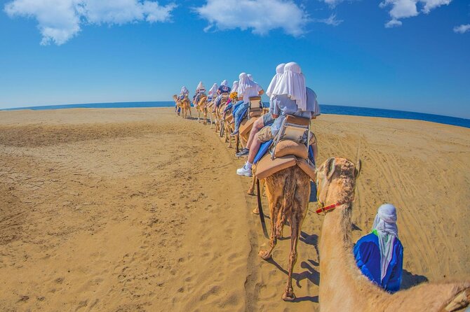 Safari with Camel Caravan to Explore Baja’s Nature, Culture and Cuisine - What the three-hour schedule really gives you
