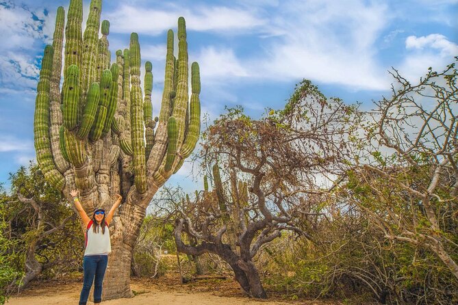Safari with Camel Caravan to Explore Baja’s Nature, Culture and Cuisine - Who will enjoy this Baja outing most