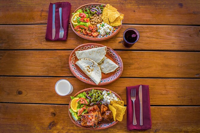 Safari with Camel Caravan to Explore Baja’s Nature, Culture and Cuisine - Baja ecology and the rescue animals