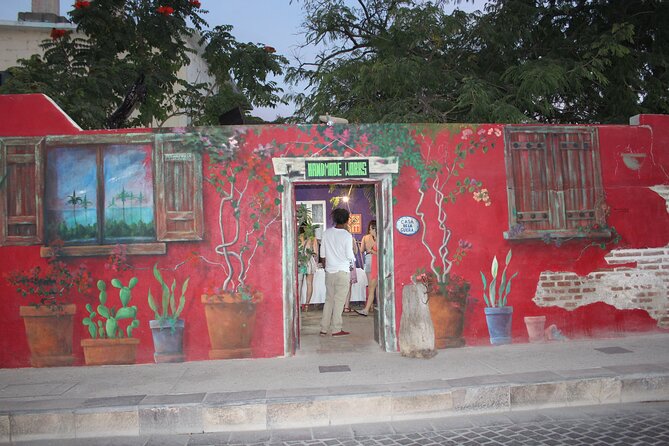San Jose del Cabo Historic District Walking Tour - Who should book this walking tour?