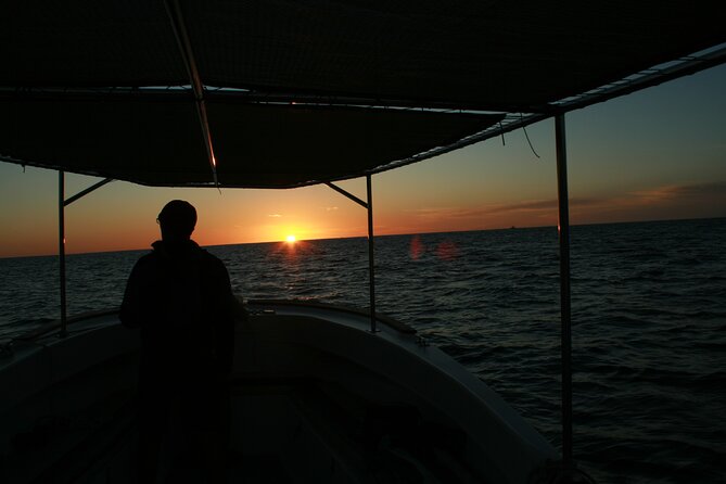 San Jose del Cabo Small-Group Sunrise Whale Watching - Why the 6:00 am departure is worth considering