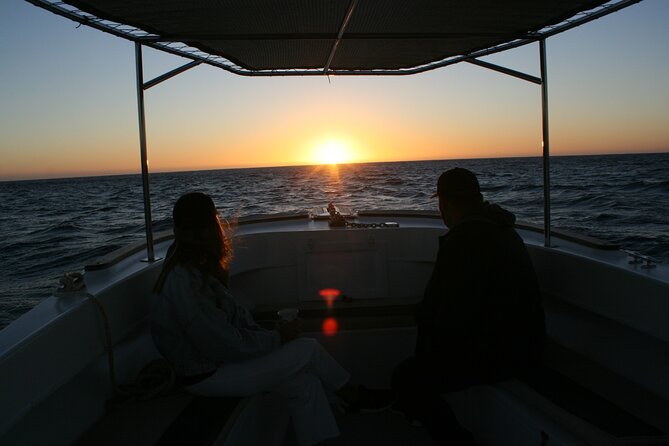 San Jose del Cabo Small-Group Sunrise Whale Watching - What happens during the two-hour cruise