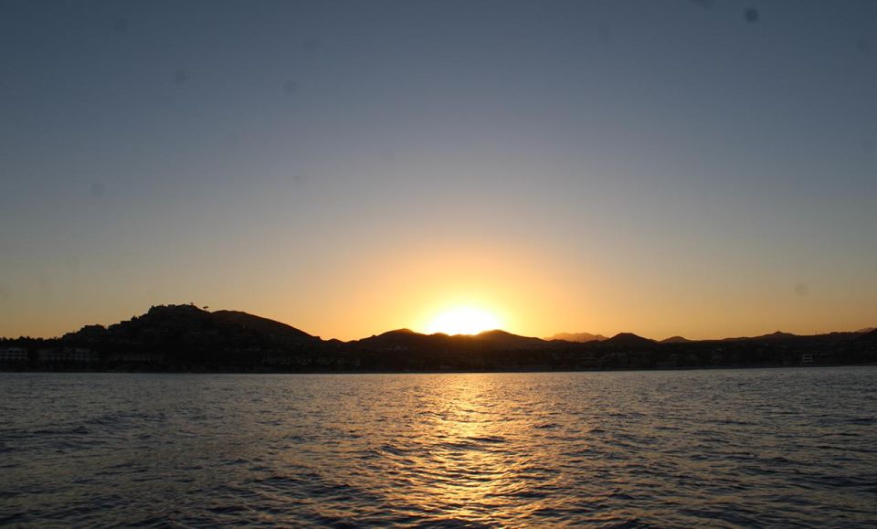 San Jose del Cabo Sunset Whale Watching - Key points to know before you go