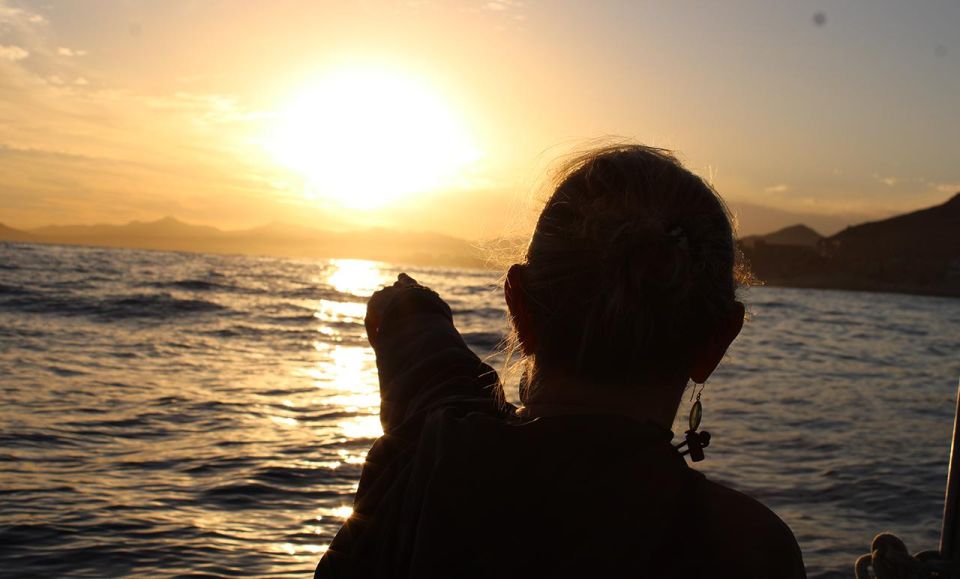 San Jose del Cabo Sunset Whale Watching - Why a sunset departure changes the whale-watching experience
