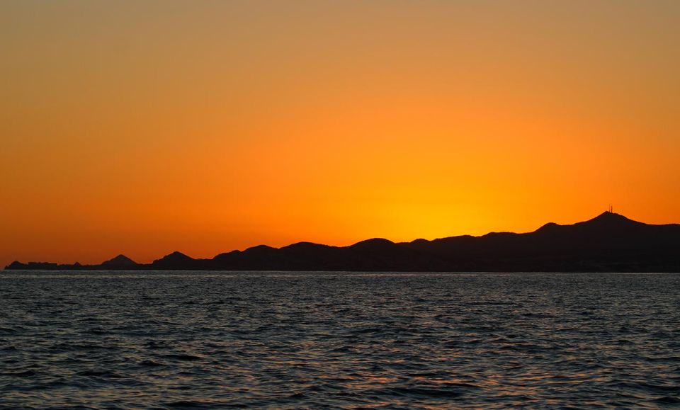 San Jose del Cabo Sunset Whale Watching - Two hours of whale watching near San Jose del Cabo