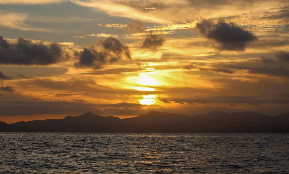 San Jose del Cabo Sunset Whale Watching - Drinks, snacks, shade, and a slower pace