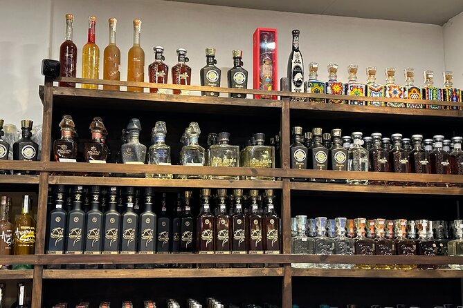 San Jose del Cabo Tequila, Mezcal and Mixology Class - Key points to know before you book