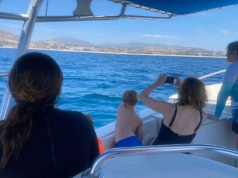 San José del Cabo: Whale Watching Experience - Is this San José del Cabo whale watch worth booking?