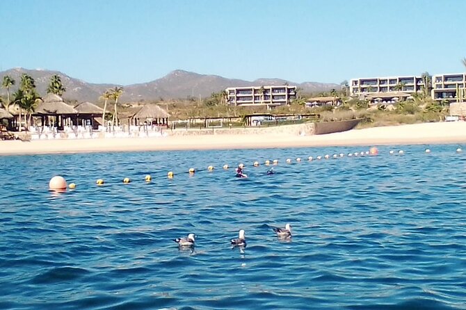 Santa Maria and Chileno Bay Snorkel Adventure Los Cabos - Why two Cabo bays make this a better snorkeling trip