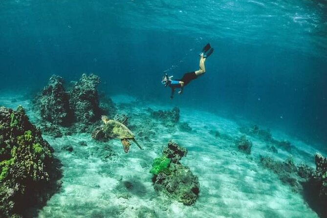 Santa Maria and Chileno Bay Snorkel Adventure Los Cabos - What the $95 price really buys you
