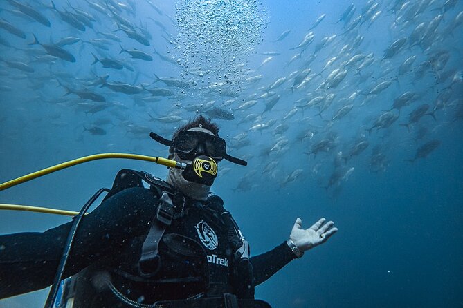 Scuba Diving - Starting at Cabo Trek at 7:30 in the morning