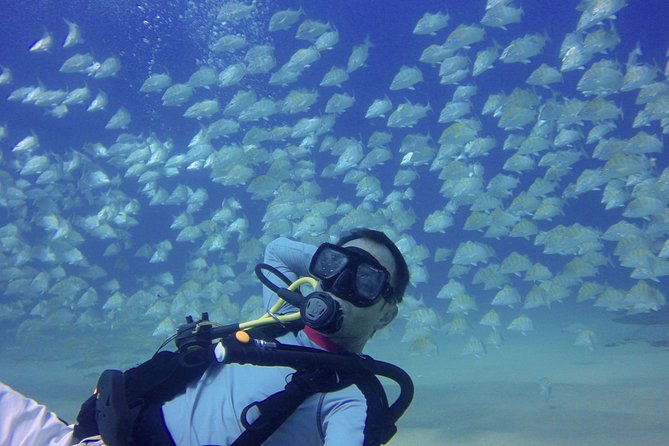 Scuba Diving - The equipment question deserves a careful check