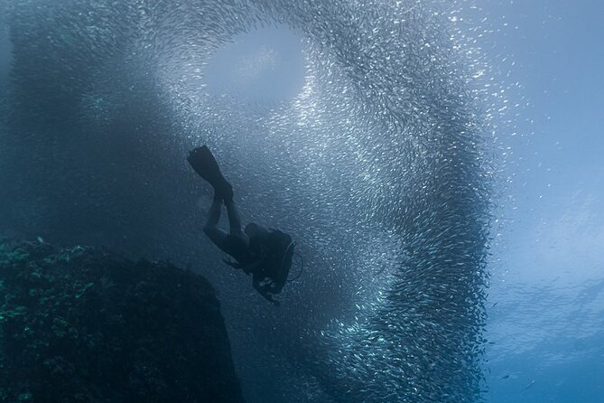 Scuba Diving - Small details that make the outing easier