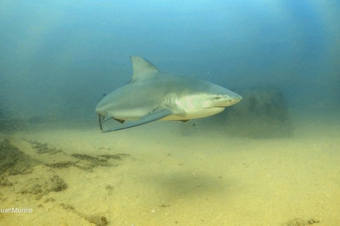 Scuba Diving adventure Cabo pulmo - Reaching Cabo Pulmo for an 8:00 am start