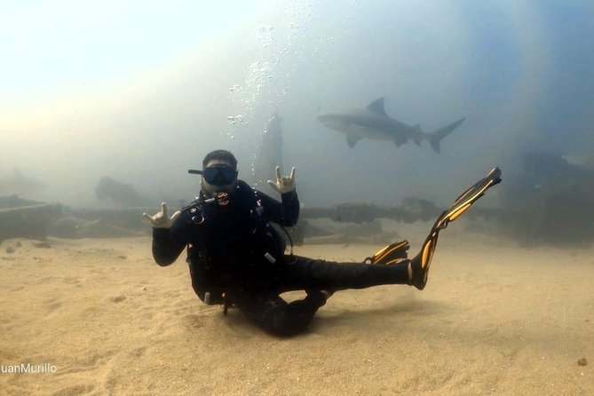 Scuba Diving adventure Cabo pulmo - What the guide adds to the experience