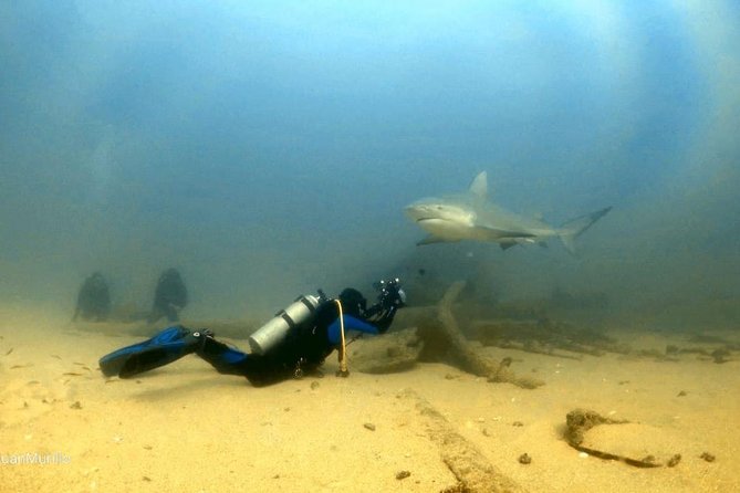 Scuba Diving adventure Cabo pulmo - Group size and the feel of the morning