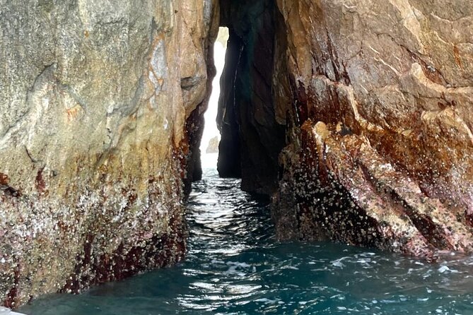 Shared Experience Glass Bottom Boat to the Arch in Cabo San Lucas - Who should book this Cabo outing?