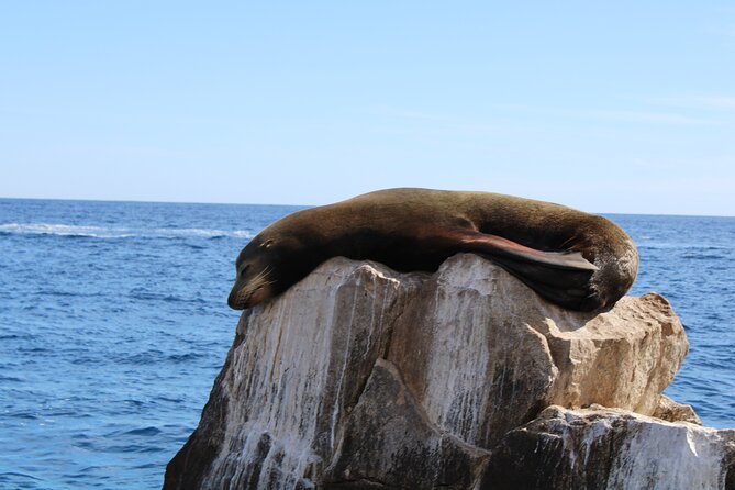 Shared Tour to the Arch of Cabo San Lucas - Cabo’s famous arch from the water