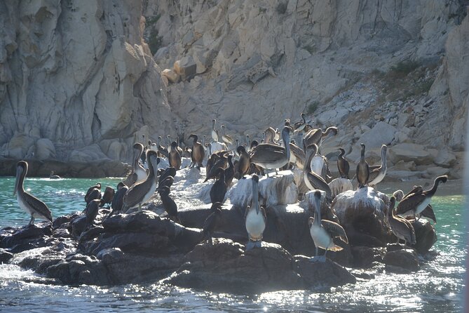 Shared Tour to the Arch of Cabo San Lucas - Guides, language, and the feel on board