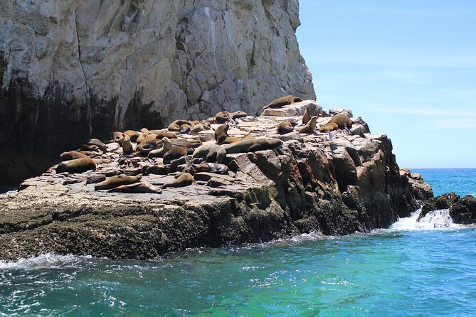 Shared Tour to the Arch of Cabo San Lucas - Price and value at $41.73