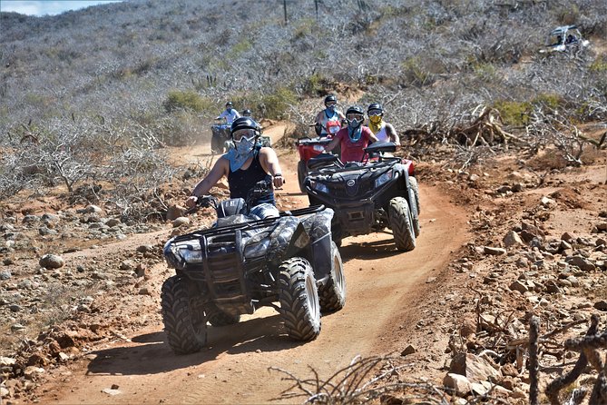 Single ATV Tour from Migriño Beach & Desert - Two rest stops with Pacific Ocean views